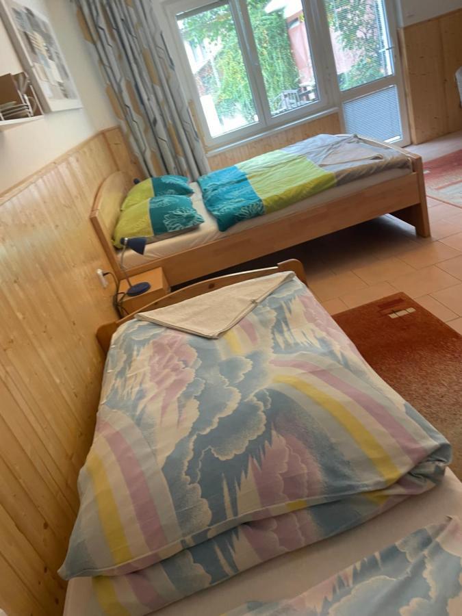 Penzion Fontana Hotel Náměšť nad Oslavou Екстериор снимка